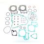 Athena P400250850038 Complete Gasket Kits