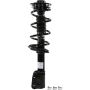Monroe Shocks & Struts 282526 RoadMatic Front Right Suspension Strut and Coil Spring Assembly