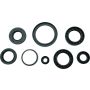 QuadBoss 564596 12-14 Arctic Cat 550 4x4 EFI Oil Seal Set