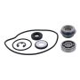 Vertex Pistons 721323 Vertex Gaskets 2017 Arctic Cat ZR 5000 Water Pump Rebuild Kit