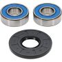 Pivot Works 25-1119-P Honda Wheel Bearing Kit Premium Bearings