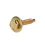 ALLSTAR PERFORMANCE ALL16554-50 Body Bolt 1-1/8in 50pk Gold