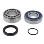 All Balls Racing 14-1073 2021 Arctic Cat Blast 4000 Jack Shaft Bearing & Seal Kit Upper Shaft