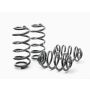 H&R 98-04 Audi A6 Avant (2WD) Sport Spring