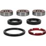 Pivot Works 25-1115-P Honda Wheel Bearing Kit Premium Bearings