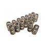 PAC RACING SPRINGS PACPAC-1219-16 1.307 Valve Springs - Ovate Beehive (16)