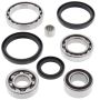 All Balls Racing 25-2051 06-14 Arctic Cat 400 FIS 4x4 TRV Differential Bearing & Seal Kit Front