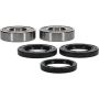 Pivot Works 25-1158-P Kawasaki, Suzuki Wheel Bearing Kit Premium Bearings