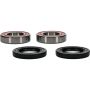Pivot Works 25-1435-P Wheel Bearing Kit