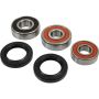 Pivot Works 25-1674-P Honda Wheel Bearing Kit Premium Bearings