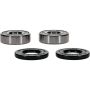 Pivot Works 25-1678-P BMW Wheel Bearing Kit Premium Bearings