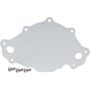 ALLSTAR PERFORMANCE ALL31154 Water Pump Back Plate Late Model SBF