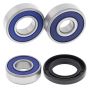 All Balls Racing 25-1486 01-07 Kawasaki BN125 Wheel Bearing Kit Rear