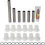 Pivot Works PWIRS-00029 14-16 Polaris ACE 325 PW Rear Independent Suspension, 2 Kits Req. Per Veh