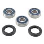 All Balls Racing 25-1755 17-23 Honda CMX300 Wheel Bearing Kit Rear