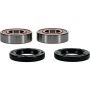 Pivot Works 25-1045-P Honda, Hyosung, Suzuki Wheel Bearing Kit Premium Bearings