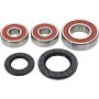 Pivot Works 25-1284-P Kawasaki Wheel Bearing Kit Premium Bearings