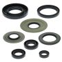 Vertex Pistons 822155 Vertex Gaskets 04-13 Yamaha YFM350 Raptor Oil Seal Kit