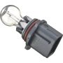 Autopart International Daytime Running Light Bulb BLB12277