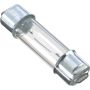 Autopart International Interior Light Bulb BLB2112