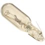Autopart International Instrument Light Bulb BLB73