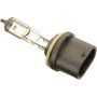 Autopart International Fog Light Bulb Pack of 1 BLB899