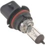 Autopart International Headlight Bulb Pack of 1 BLB9007