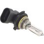 Autopart International Headlight Bulb Pack of 1 BLB9012