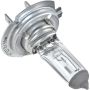 Autopart International Headlight Bulb Pack of 1 BLBH7