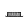 FRONT BUMPER GRILLE F48; W/M PKG; CENTER GRILLE BMW X1 20-C