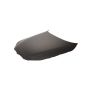 HOOD PANEL ASSY ALL BMW 525I 04-10
