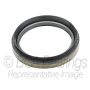 BCA NTN BEARINGS NS710640 Grease/Oil Wheel Seal