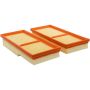 BALDWIN FILTERS PA10293 Set of 2 Panel Air Elements