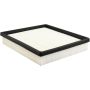 BALDWIN FILTERS PA10395 Panel Air Element