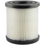 BALDWIN FILTERS PA1748 Air Element