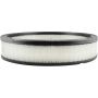 BALDWIN FILTERS PA2009 Air Element