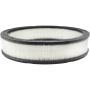 BALDWIN FILTERS PA2010 Air Element