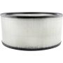 BALDWIN FILTERS PA2091 Air Element