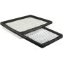 BALDWIN FILTERS PA30007 Panel Air Element