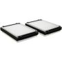 BALDWIN FILTERS PA30117 Set of 2 Cab Air Elements