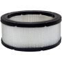 BALDWIN FILTERS PA3901 Air Element