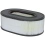 BALDWIN FILTERS PA4093 Oval Air Element
