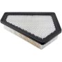 BALDWIN FILTERS PA4429 Panel Air Element