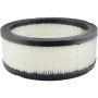 BALDWIN FILTERS PA650 Air Element