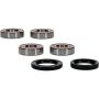 Pivot Works 25-1672-P BMW Wheel Bearing Kit Premium Bearings