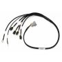 Haltech HT-130336 Elite 1000/1500 Terminated Ignition Harness