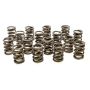 PAC RACING SPRINGS PACPAC-1900-16 Valve Springs - HR Series (16)
