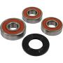 Pivot Works 25-1494-P Yamaha Wheel Bearing Kit Premium Bearings