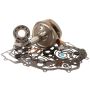 Hot Rods CBK0030 2009 Suzuki LT-R 450 450cc Bottom End Kit