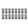 PAC RACING SPRINGS PACPAC-1364L-16 1.681 Triple Valve Springs  (16)